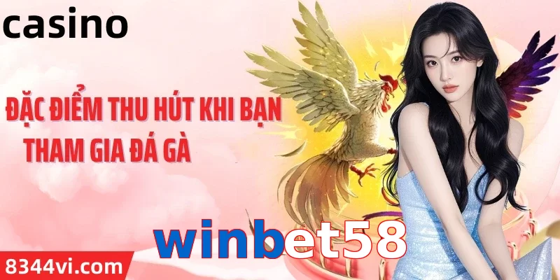 winbet58